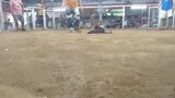 red kelso Panget vs 55k bulik patibayan