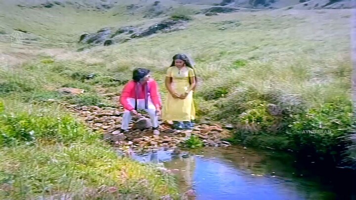 Sangeetha Vanil - HD Video Song சங்கீத வானில் _ Chinna Poove Mella Pesu _ Prabhu _ SA Rajkumar