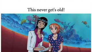 This never get's old!!