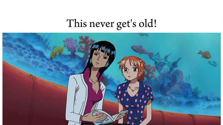 This never get's old!!