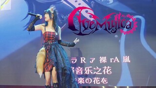 为什么要在MyGO!!!!!后面唱Ave mujica！