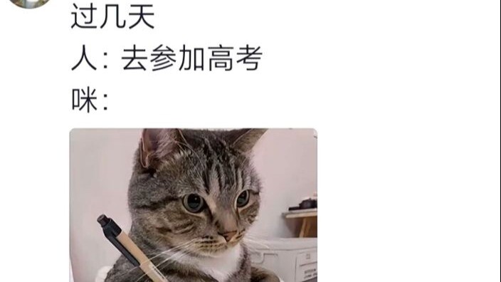 Lúc đầu: Con người sao mà ngu ngốc thế, dạy mèo leo cầu thang; đến khi thấy mèo leo xong thì: