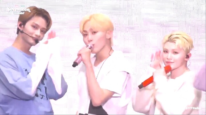 [FULL] 220508 SEVENTEEN 2022 'Hanabi' Japan FanMeeting - 'Darl+ing' OT13 Performance