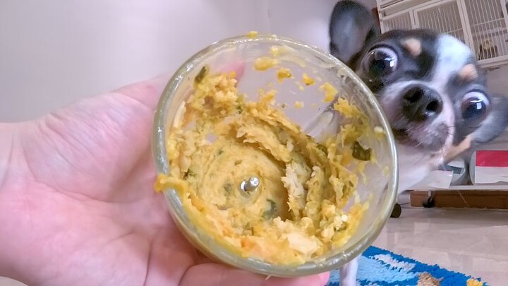 Bá Nha gặp đàn tuyệt huyền 🧑‍🍳🐕