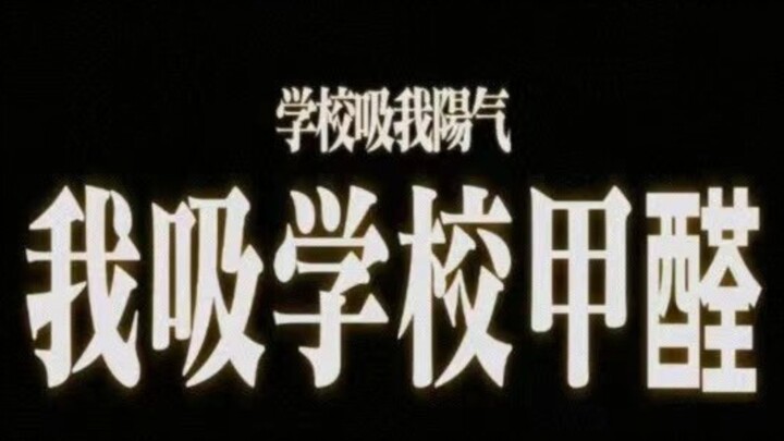 《学生吸甲醛，绿萝摆楼道》纪录片