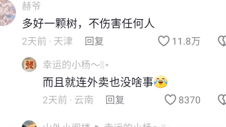 这棵树真是功德圆满了