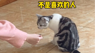 桑葚的双标现场：对不起，我只吃我妈给的零食。
