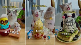 รวบรวมวิดีโอแมวน่ารักและตลก 😍🐶 แมวไม่ใช่แค่สัตว์แต่ยังเป็นเพื่อนกัน - ตอนที่ 173