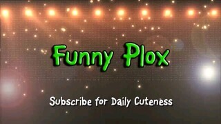 cat funny video