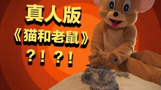 【司徒建国】你知道嘛？猫没有入选十二生肖，竟然与老鼠有关！