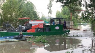 Quay Cảnh Nông Dân Miền Tây Sông Nước l Đến Ngày Thu Hoạch Lúa l Máy Cắt Lúa