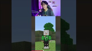 Skin Haram Minecraft !! #shorts