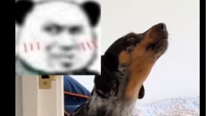 لا يختلف عن النسخة الأصلية