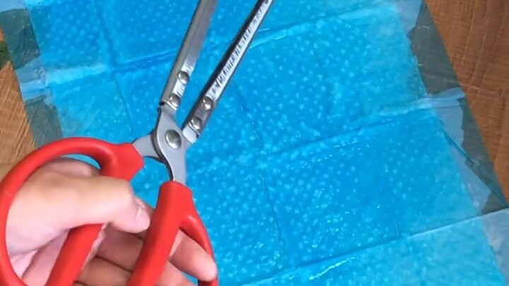 In fact, some things that chase the sea are more suitable for dog owners.