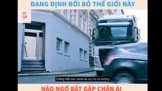 REVIEW PHIM: Xin được chết