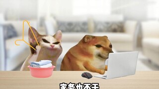 好男人都是宠出来的