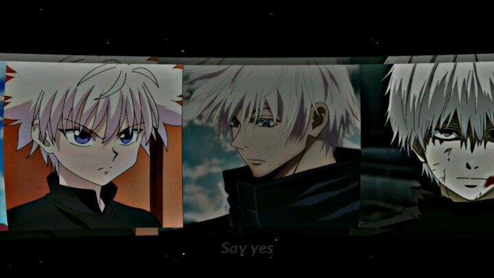 kumpulan kucing putih