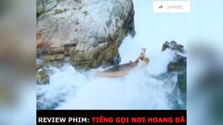 Rv phim :Tiếng gọi nơi hoang dã