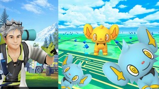 Shiny Shinx Community Day Special Research Story | Flash, Spark, and Gleam