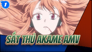 Sát Thủ Akame AMV_1