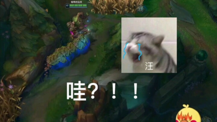 短短二十几秒需要用一生去治愈。。