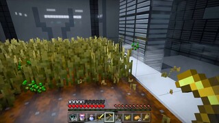 Trong nửa năm, xây dựng một hạm đội không gian trong Minecraft