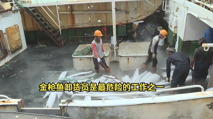 Why Being a Tuna Unloader Is One of the Most Dangerous Jobs