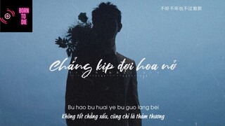 [Vietsub ] Chẳng kịp đợi hoa nở (等不来花开) - pro #MUSIC ♫
