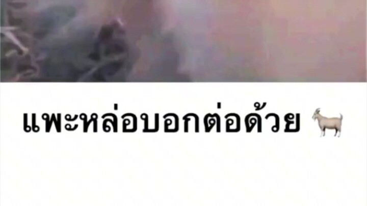 หล่อ