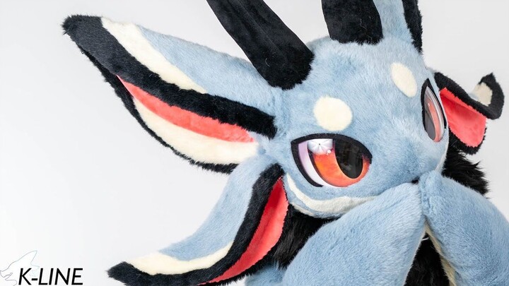 【Kostum Binatang/Fursuit】Kogarasumaru  Kogarasumaru kecil