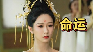 爱写出我的诗经，算不出我的命运