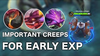 EXP GAINED CHANGES FOR LEVEL 1 4 | FIRST TURTLE IS IMPORTANT