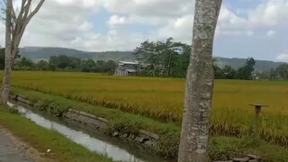 Village