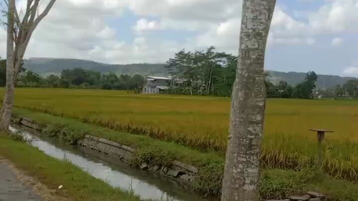 Village