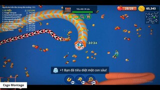 Rắn săn mồi 359 Trò chơi rắn game con giun Vùng giun đấtio Worms zoneio_ 10