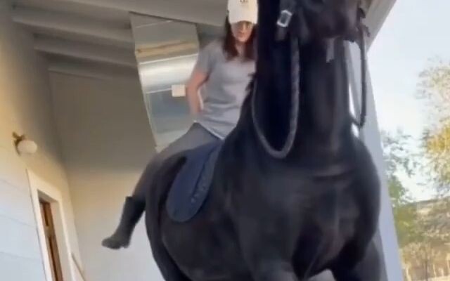 Automatic reverse parking