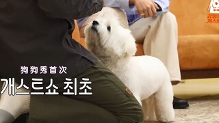 ูููููู ุฅุตุฑุงุฑ ุฅุณ.ููุจุฑุฒ ุนูู ุงูุงุญุชูุงุธ ุจุงูุจุทุงุทุง ุงูุญููุฉ ูุฑูุถู ุงูุฌุงุฒู
ู
ุตุงูุญุฉ ุงููุฏ