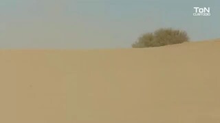 DESCENDANTS OF THE SUN (TAGALOG DUB ) FINALE