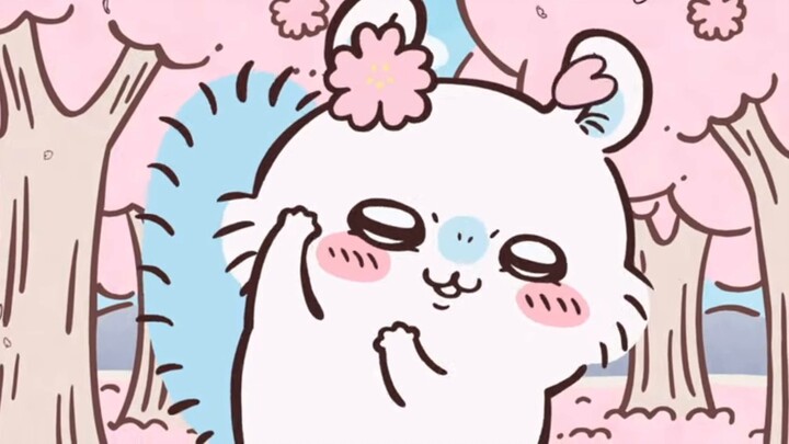 Flying Squirrel is here! LOOK AT ME!