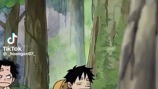 Ace có xứng đáng k...😟