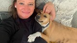 Shelter Dog Very Scared to Human Until She Meets This Woman  - Save Animal!