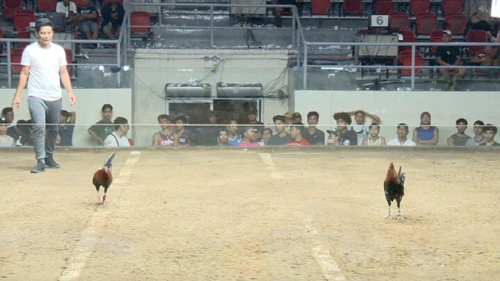 garry gilliam roundhead 1x winner