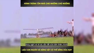 hành trình tìm nhà cho những chú ngỗng p4 #review