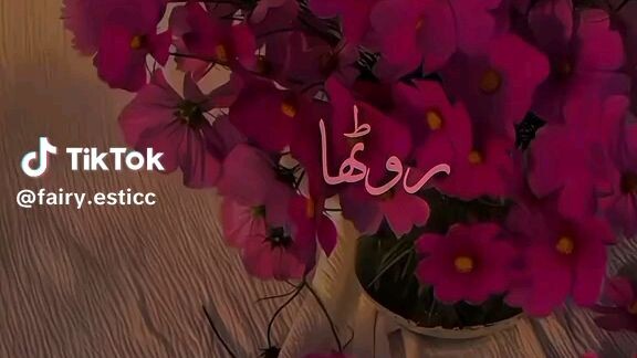 SAIYARA✨🖤🇸🇦