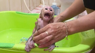 OMG! Baby Mino Cry Loudly Don't Want Take The Bath