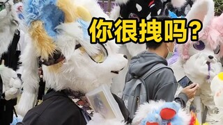 兽聚斗殴？氷糕这次又在80谁？