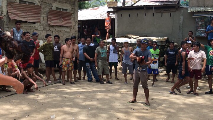 Manok na pula