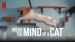 Inside The Mind Of A Cat (2022)