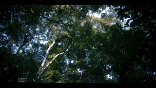 bác Sĩ tha hương - the outlaw doctor (vietsub) tập 8