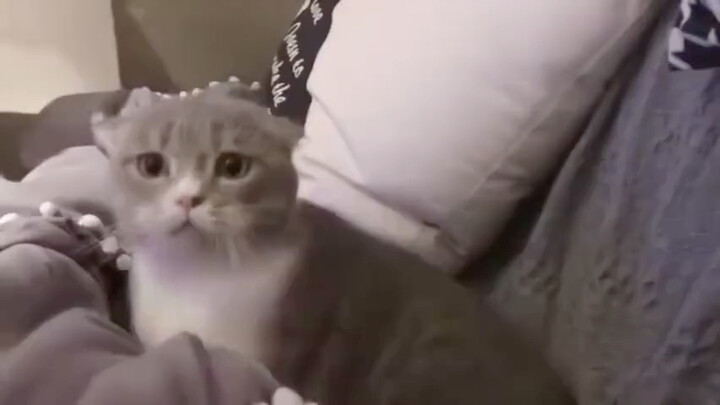 You, who have been mercilessly beaten time and again by life...